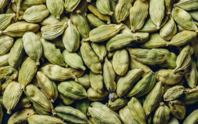 Did you know that cardamom has been used in traditional Chinese and Indian medicine for over 3000 years? Keep reading if you want to know more about all its benefits