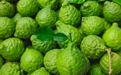 Bergamot oil, the medicine that became popular in Italy! Keep reading if you want to know why!